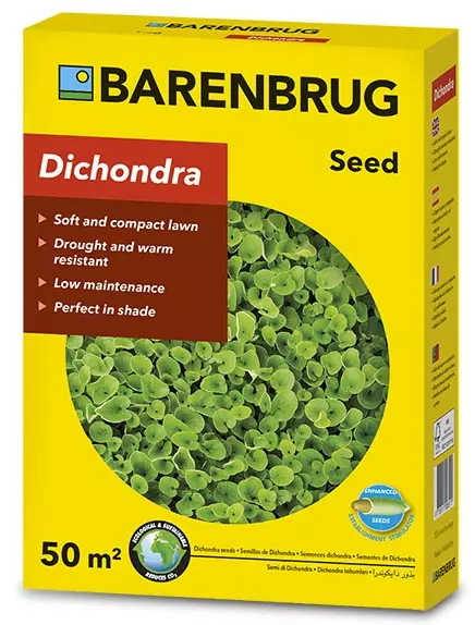 Dichondra zöld talajtakaró 0,5 kg Barenbrug