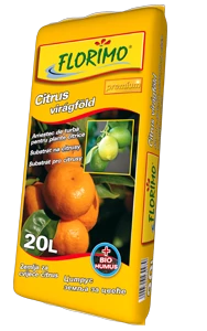 Citrusföld