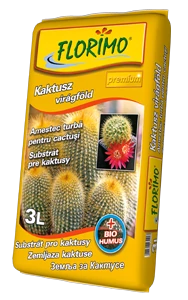 Kaktuszföld