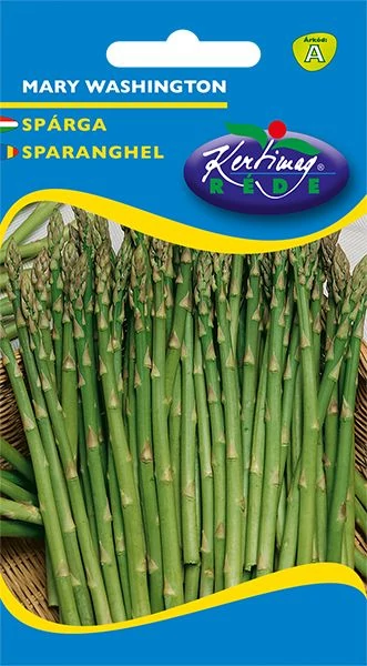Spárga