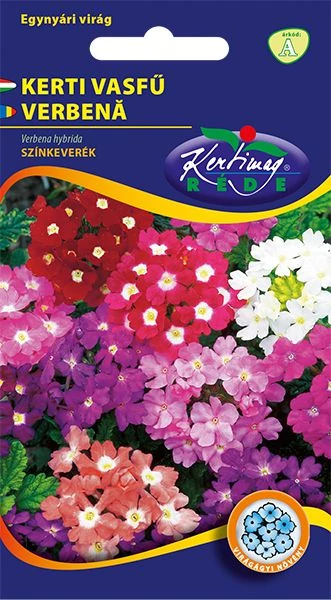 Vasfű - Verbena