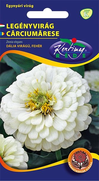 Rézvirág - Zinnia Dahlia virágú Fehér