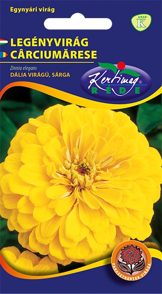 Rézvirág - Zinnia Dahlia virágú Sárga