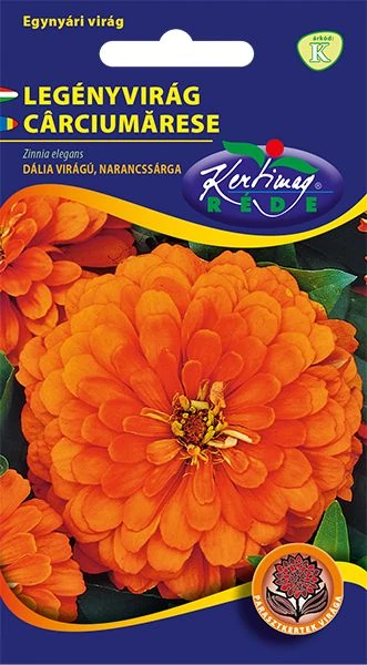 Rézvirág - Zinnia Dahlia virágú Narancs