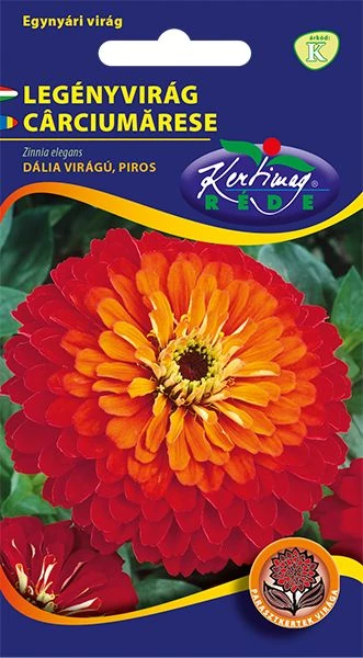 Rézvirág - Zinnia Dahlia virágú Piros