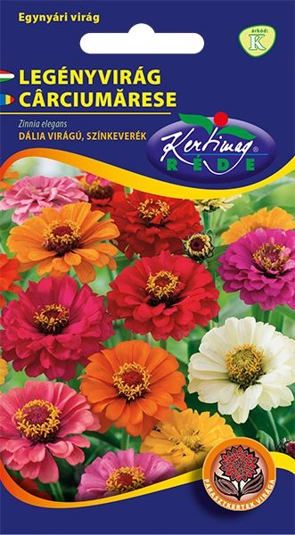 Rézvirág - Zinnia Dahlia virágú Színkeverék