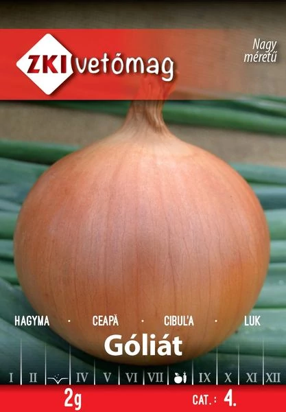 Góliát hagyma