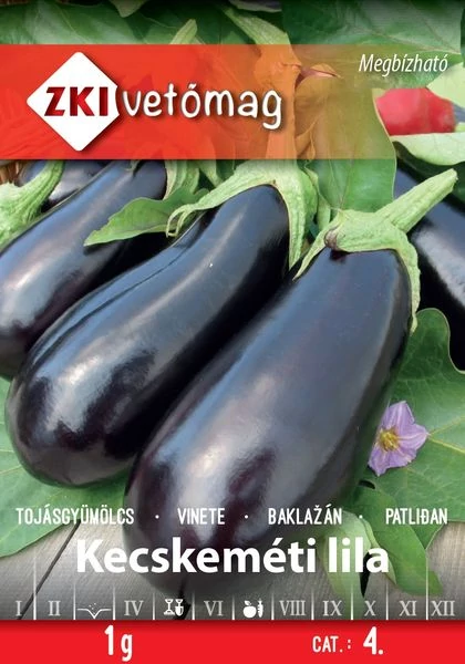 Tojásgyümölcs Kecskeméti lila