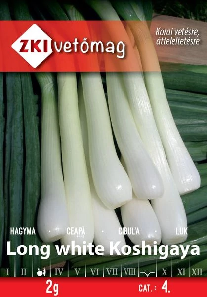 Long white Koshigaya sarjadékhagyma