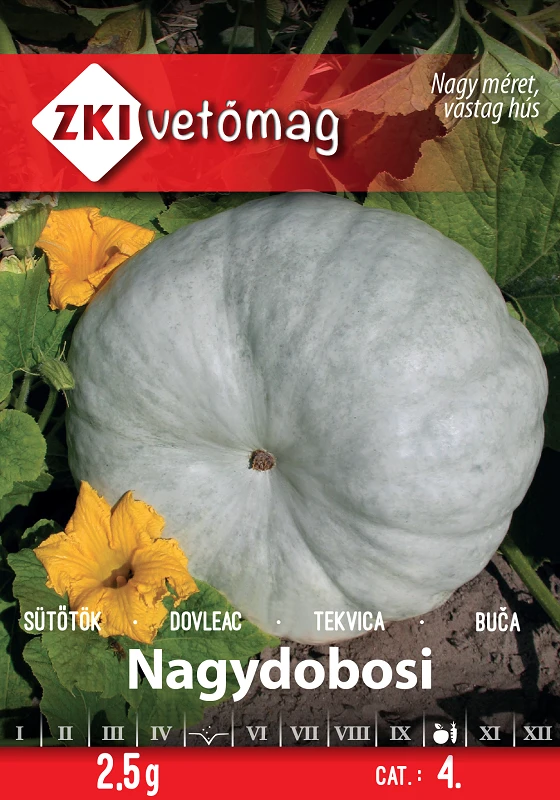 Nagydobosi sütőtök ZKI