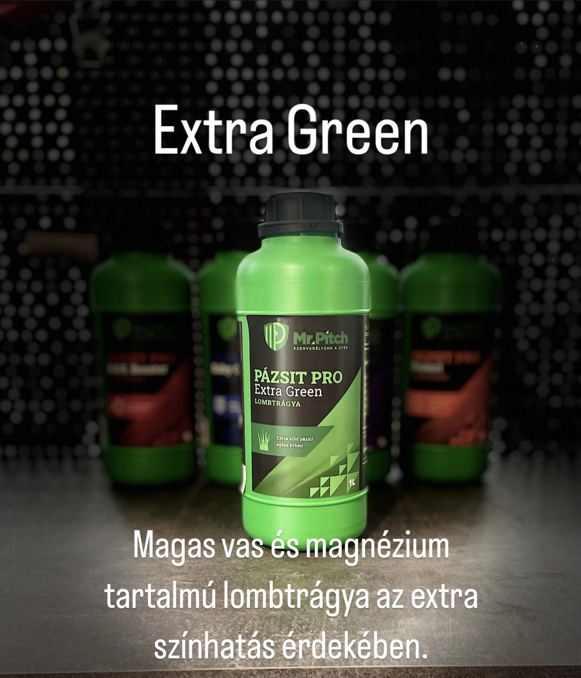Pázsit Pro gyep lombtágya Extra Green 1liter