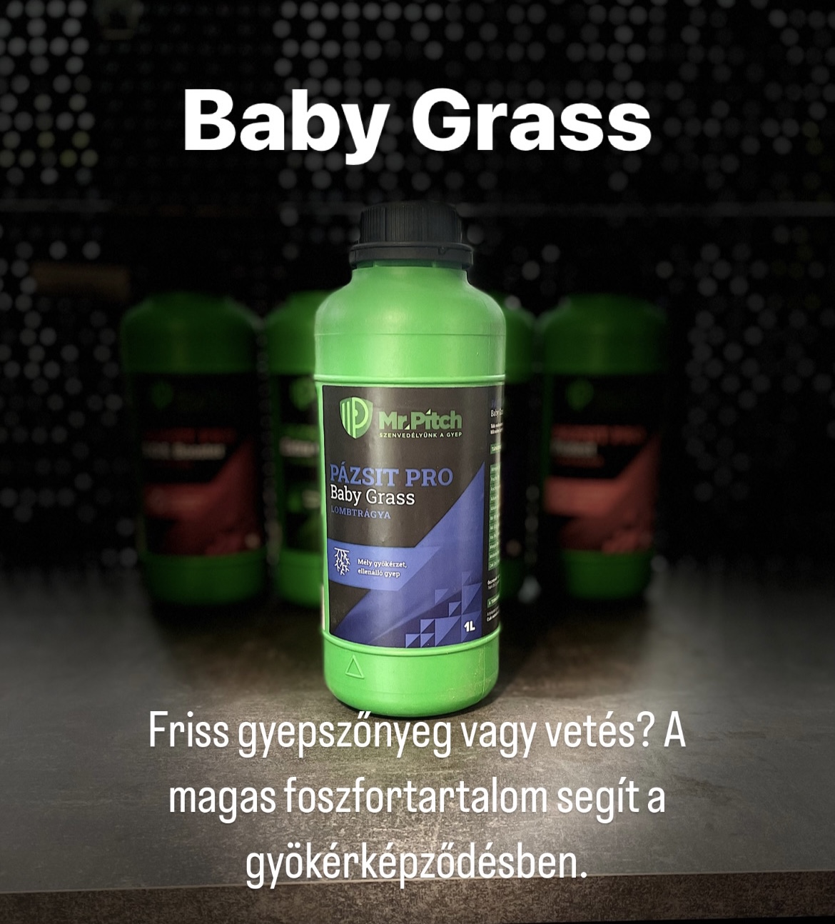 Pázsit Pro gyep lombtágya Baby Grass 1liter
