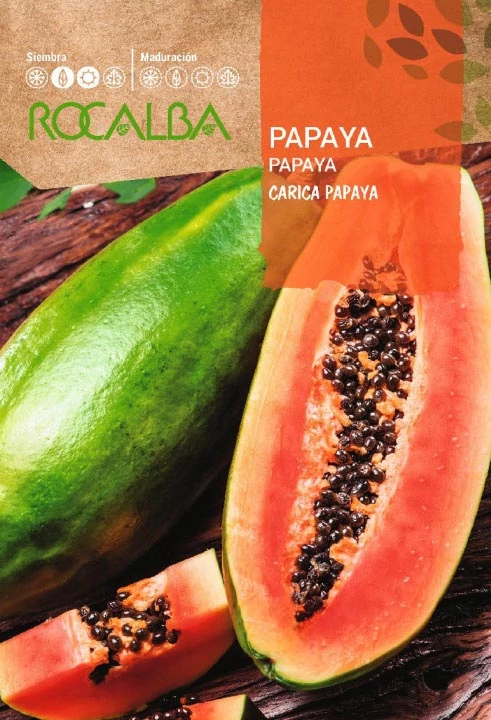 Papaya