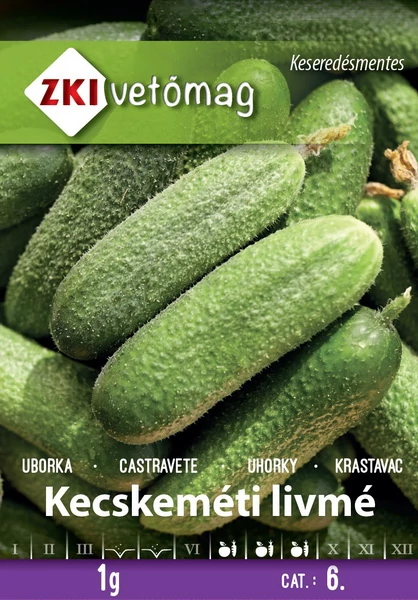 Kecskeméti livmé