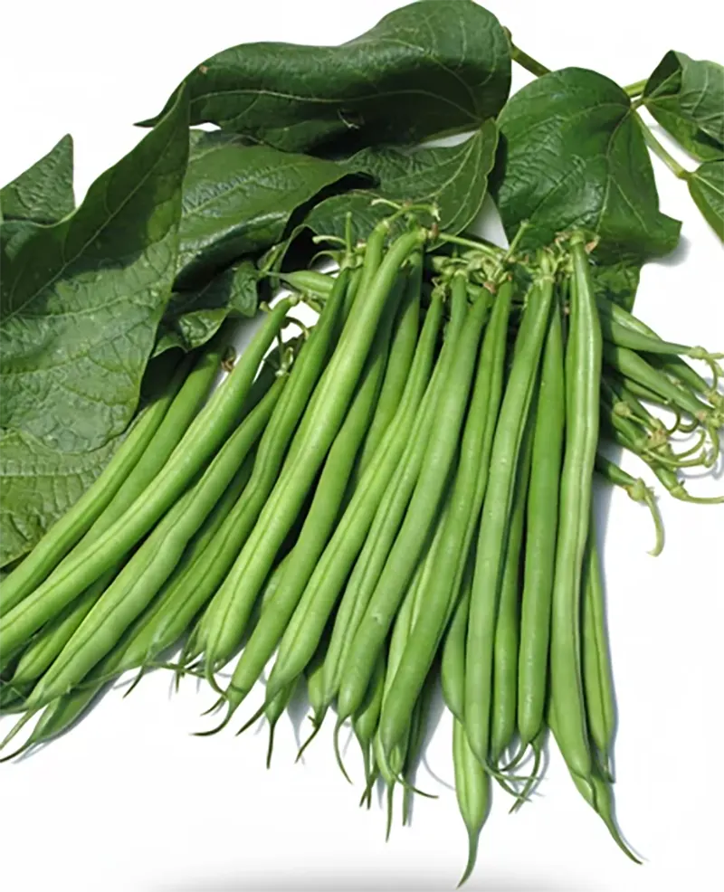 Paulista zöldbab 1kg