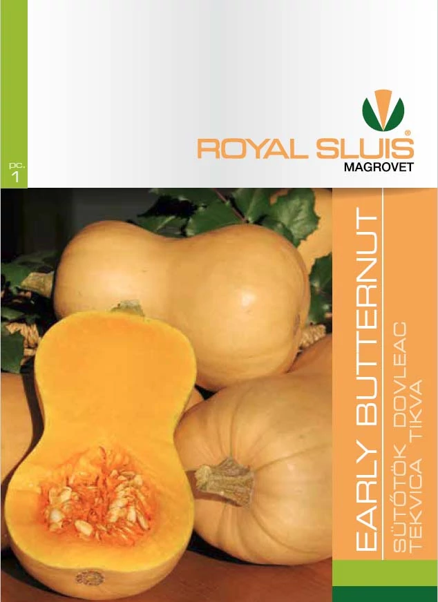 Early Butternut sütőtök